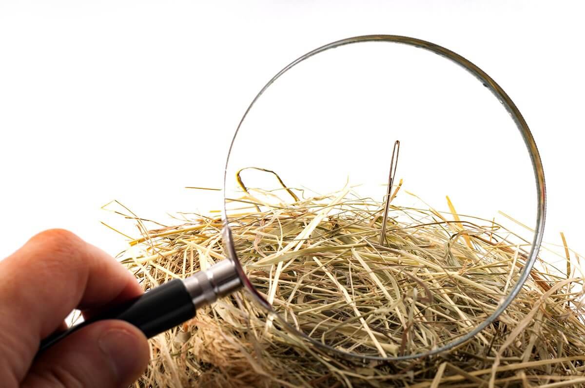 idiom of the needle in the haystack relates to precise marketing